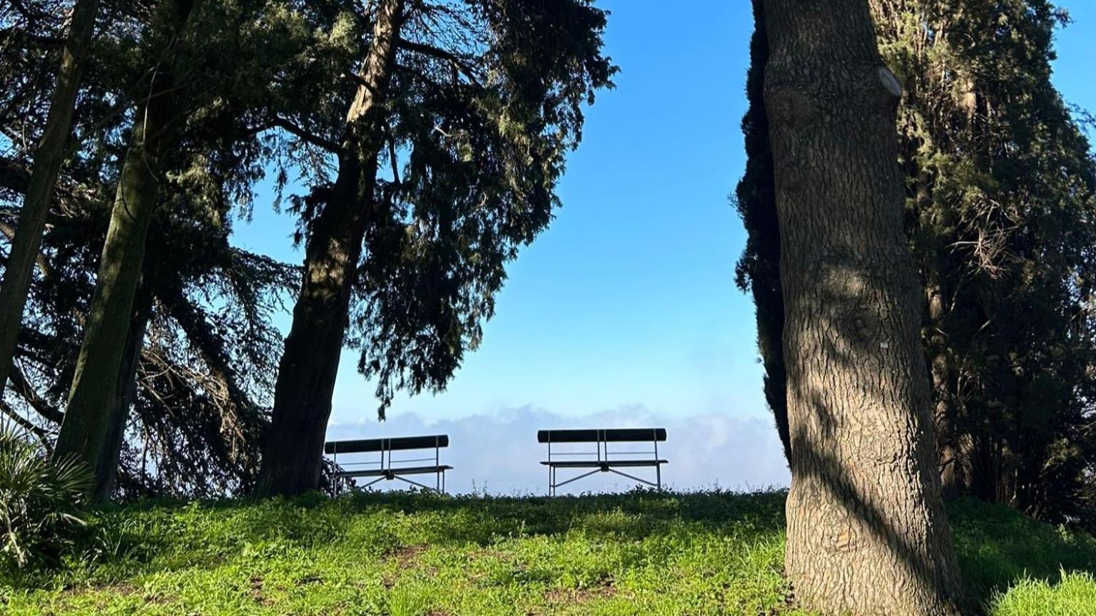Villa Cavalletti Grottaferrata Dış mekan fotoğraf