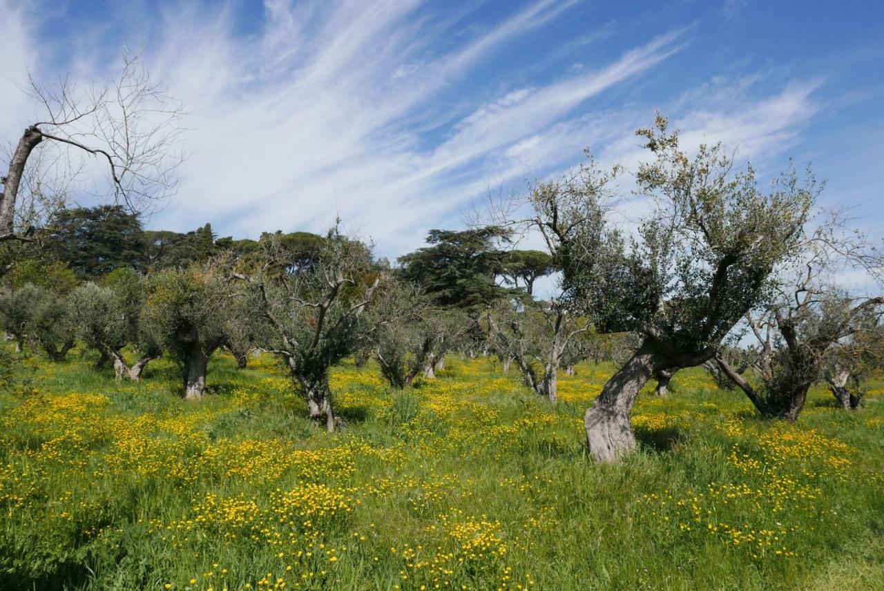 Villa Cavalletti Grottaferrata Dış mekan fotoğraf