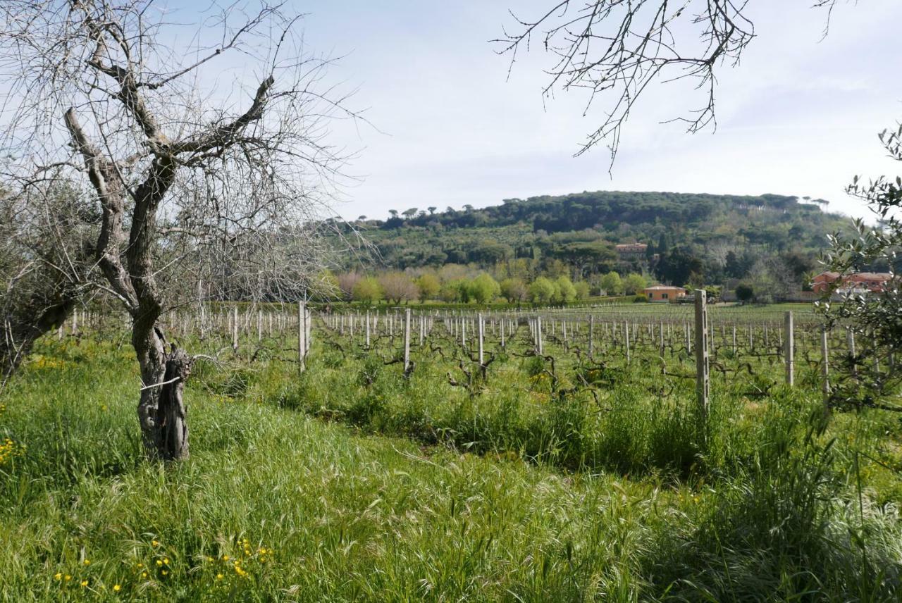 Villa Cavalletti Grottaferrata Dış mekan fotoğraf